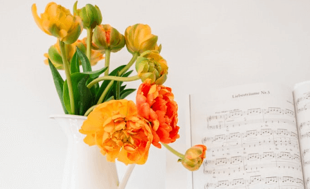 Диктор Лина - УНИВЕРСАЛЬНЫЙ ГОЛОС