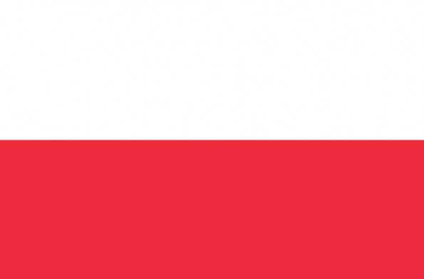 Диктор Польский ЖЕНСКИЙ ГОЛОС 1